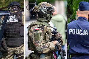Infografika przedstawiająca współdziałanie policji i straży pożarnej