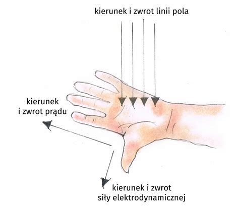 Ilustracja metody lewej/prawej ręki podczas przeszukania
