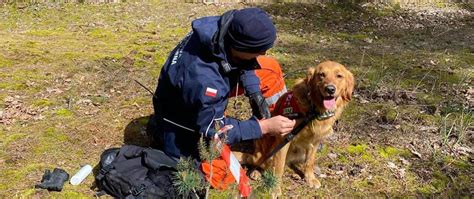 Praca psa ratowniczego w terenie