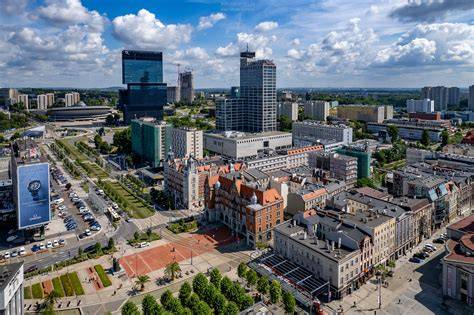 Zdjęcie z lotu ptaka przedstawiające dużą stertę płonących pozostałości roślinnych i tworzyw sztucznych z widocznym czarnym dymem