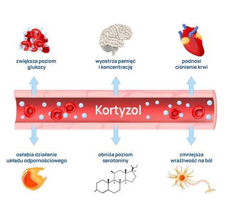 Infografika: Wpływ kortykosteroidów na skórę podczas infekcji wirusowej