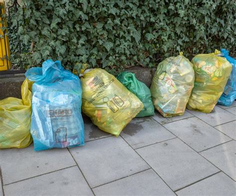 Grupa ludzi sprzątająca teren, zbiórka śmieci w workach