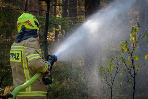 Zdjęcie strażaka w akcji gaszenia pożaru lasu