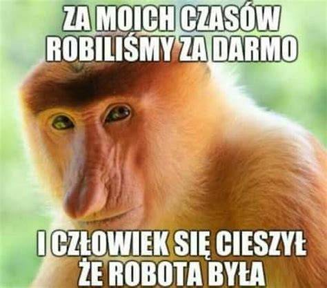 Memy z Nosaczem obserwującym pożar u sąsiada