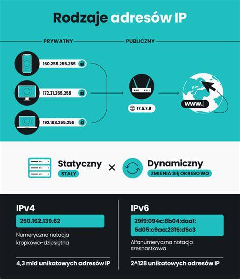 Infografika wyjaśniająca znaczenie kodu IP dla urządzeń elektronicznych