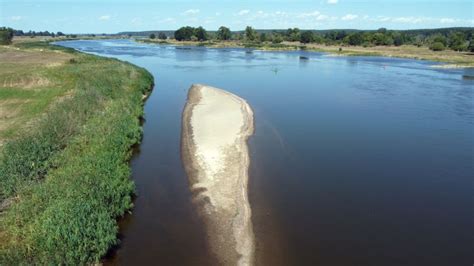 Ilustracja płetwonurków wchodzących do rzeki Odry podczas Mikołajkowego Spływu Płetwonurków.