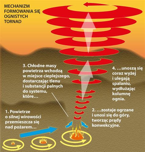 Infografika przedstawiająca mechanizm szybkiego rozprzestrzeniania się ognia na wysuszonych terenach otwartych