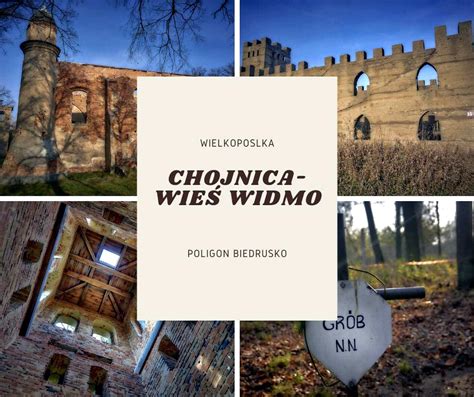Unikalna roślinność i ptaki na poligonie Biedrusko