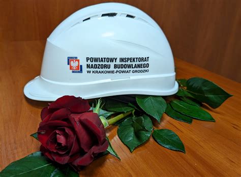 Grafika przedstawiająca logo lub symbol Powiatowego Inspektoratu Nadzoru Budowlanego