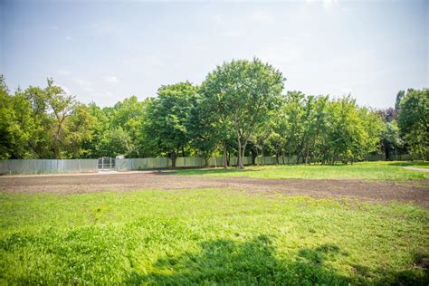 infografika przedstawiająca zaniedbane tereny zielone z widocznym śmietniskiem i wysoką trawą