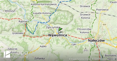 Mapa miejscowości Wąwolnica i okolic