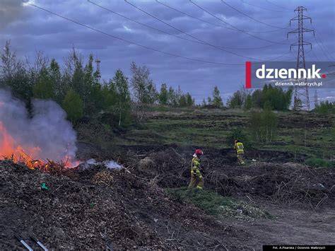 Rozległy pożar traw na terenie kopalni siarki w Osieku, strażacy w akcji