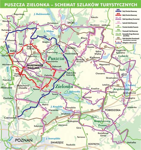Mapa okolic Łapina z zaznaczonymi trasami rowerowymi i pobliskimi atrakcjami