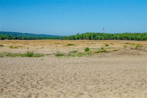 Infografika: Zmiany krajobrazu Pustyni Błędowskiej na przestrzeni wieków (deforestacja, zalesianie)