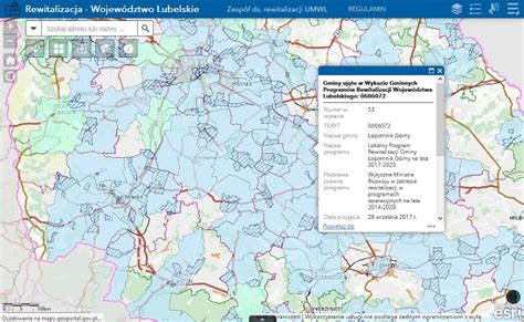 Mapa lub schemat przedstawiający obszary rewitalizacji Pustyni Błędowskiej