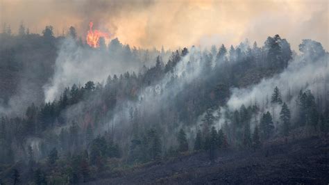 Thematic photo of a forest fire with smoke