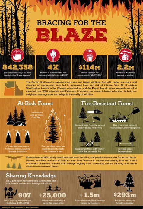 infographic on forest fire prevention rules