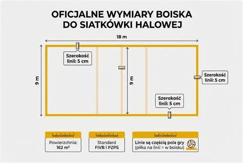 Infografika przedstawiająca wymiary i wyposażenie wozu drabiniastego E-One Hurricane