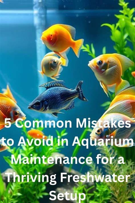 Infographic showing common mistakes in aquarium setup and maintenance