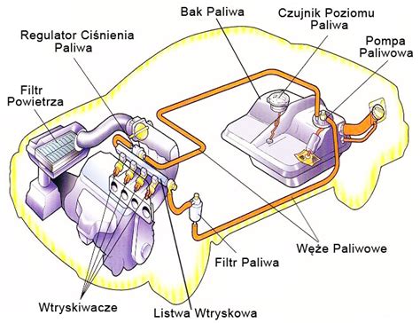 Infografika przedstawiająca schemat układu paliwowego w samochodzie