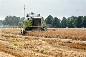 zdjęcie spalonego kombajnu na polu