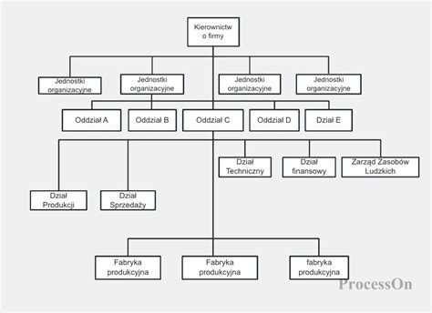 Schemat organizacyjny firmy Protect i Wspólnicy