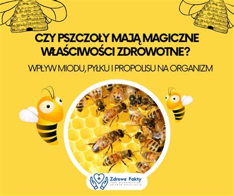 infografika przedstawiająca właściwości zdrowotne miodu pitnego i jego wpływ na organizm