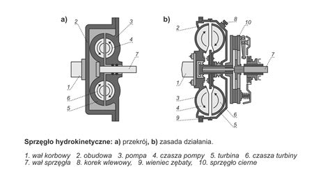 Zasada działania korkociągu ze schematem wkręcania w korek