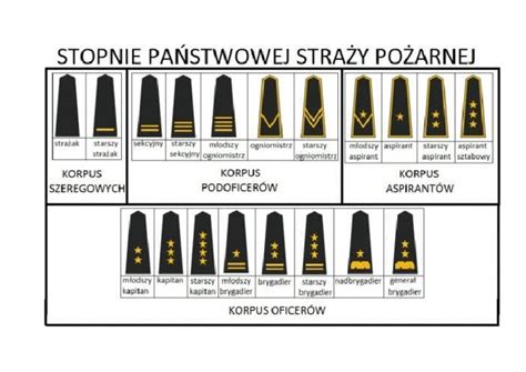 infografika przedstawiająca strukturę stopni w Państwowej Straży Pożarnej