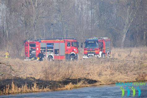 zdjęcie pożaru traw nad rzeką