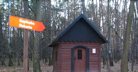 Zdjęcie kapliczki Św. Huberta w lesie