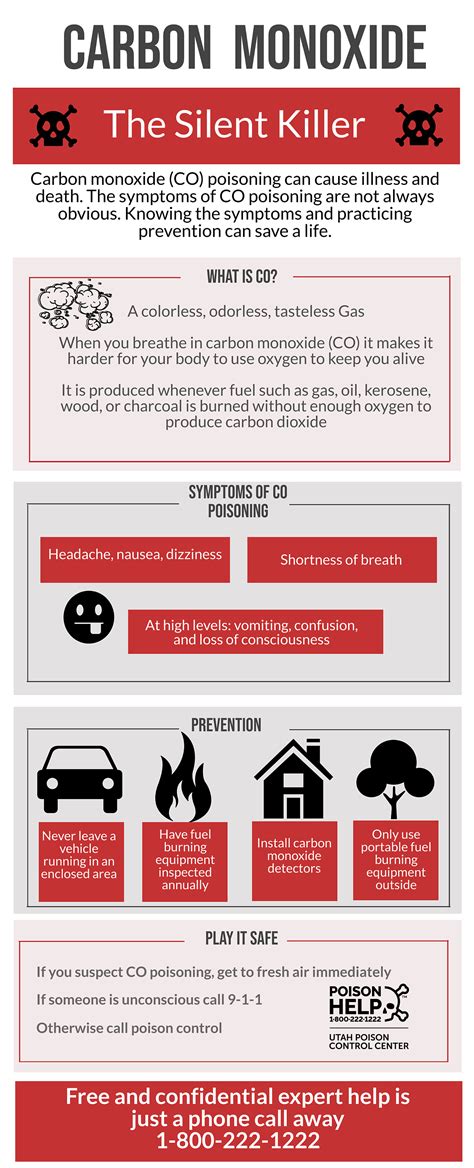 Infographic on carbon monoxide symptoms and prevention