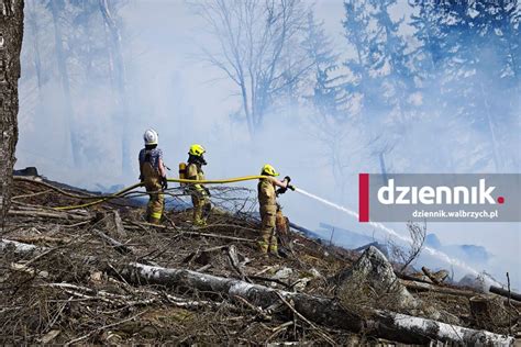 Zilustrowanie działania strażaków gaszących pożar lasu, ujęcie z perspektywy naziemnej