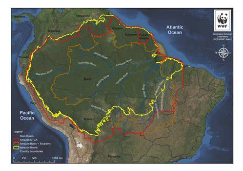 Mapa Amazonii z zaznaczonymi obszarami pożarów oraz dymem docierającym do São Paulo