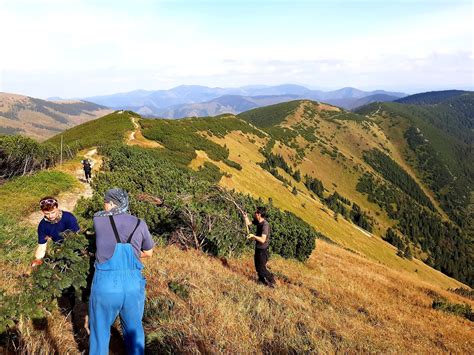 ilustračná fotografia Nízkych Tatier