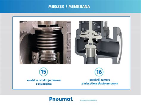 Przekrój zaworu przeciwpożarowego typu Deluge