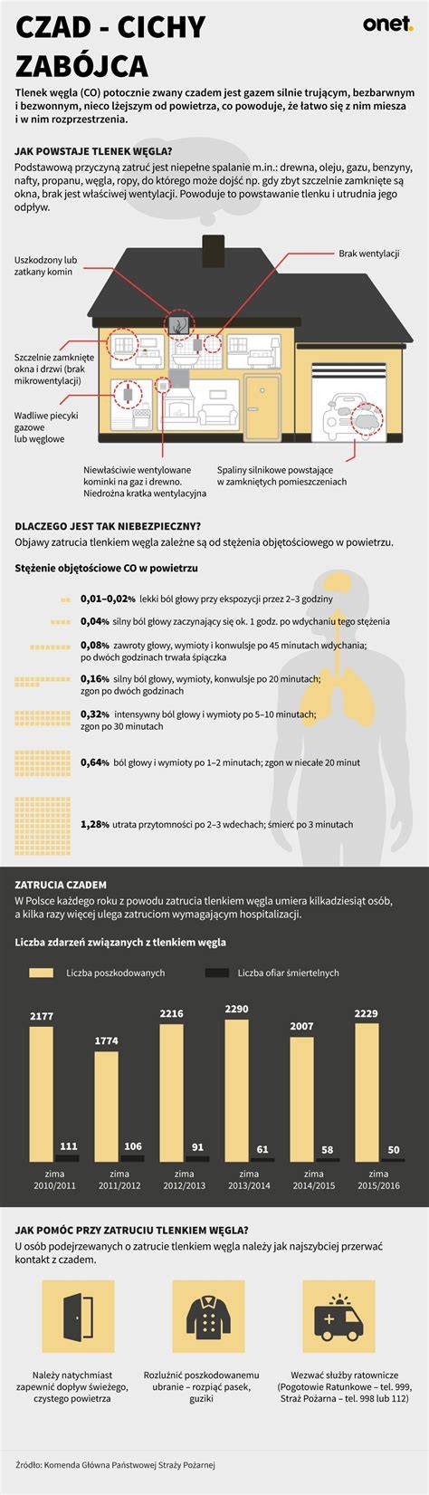 Infografika 