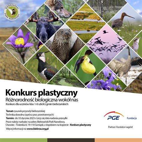 Grafika przedstawiająca różnorodność zinów i antologii komiksowych