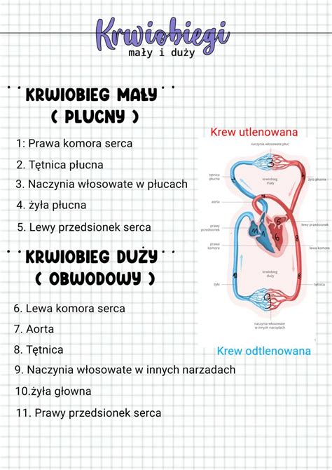 Schemat przedstawiający budowę magistrali wodnej z rzeki Bukowina na odległość 3 km