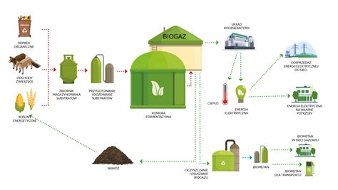 Infografika: Schemat działania biogazowni rolniczej z zaznaczeniem różnych źródeł substratów