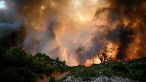 Zniszczone winnice po pożarze w regionie Aude, Francja