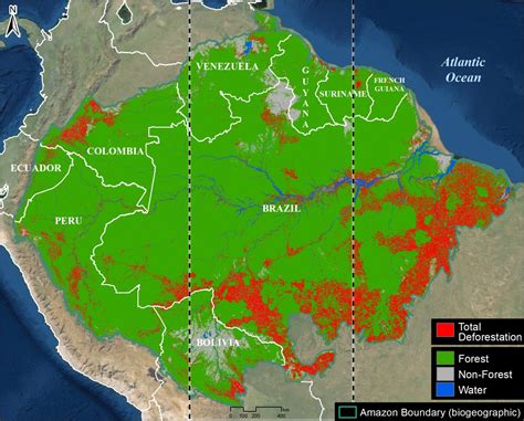 mapa puszczy amazońskiej i obszarów dotkniętych pożarami