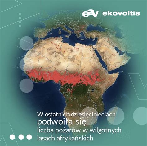infografika przedstawiająca pętlę sprzężenia zwrotnego: wylesianie, susza, pożary