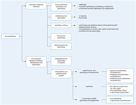 schemat klasyfikacji pojazdów ratowniczo-gaśniczych