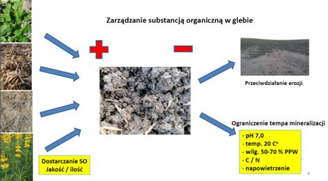 Infografika: Chemiczne zmiany w glebie po pożarze, w tym poziom chromu i azotu