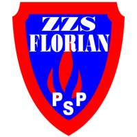 Grafika turniejowa z logo ZZS 