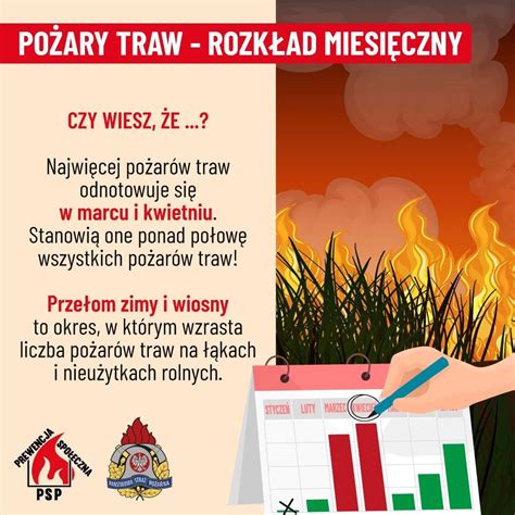 Infografika: Skutki wypalania traw i statystyki pożarów