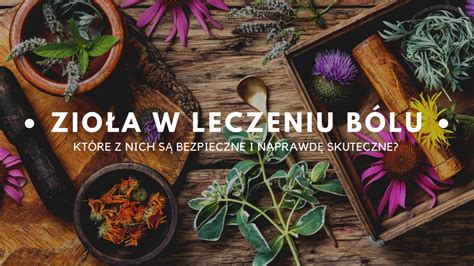 Ilustracja przedstawiająca zioła stosowane w leczeniu bólu gardła