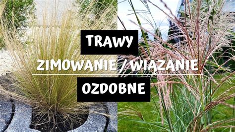 zdjęcie suchych traw objętych ogniem