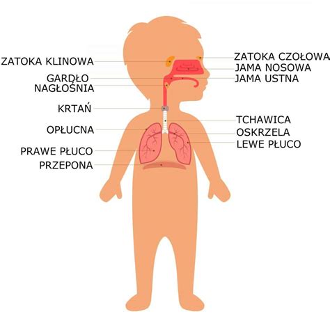 Infografika: Różnice między ochroną filtracyjną a izolacyjną dróg oddechowych